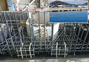 Saiwaicho wharf core reinforcement