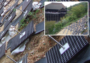 国宝 清水寺 ロックボルト