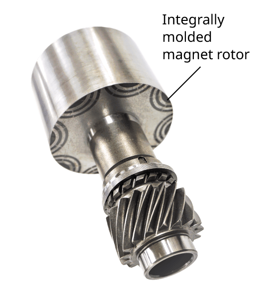 Figure: Integrally molded magnet rotor