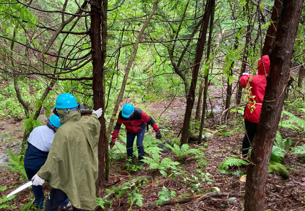 王滝村水源の森育成ボランティアの様子
