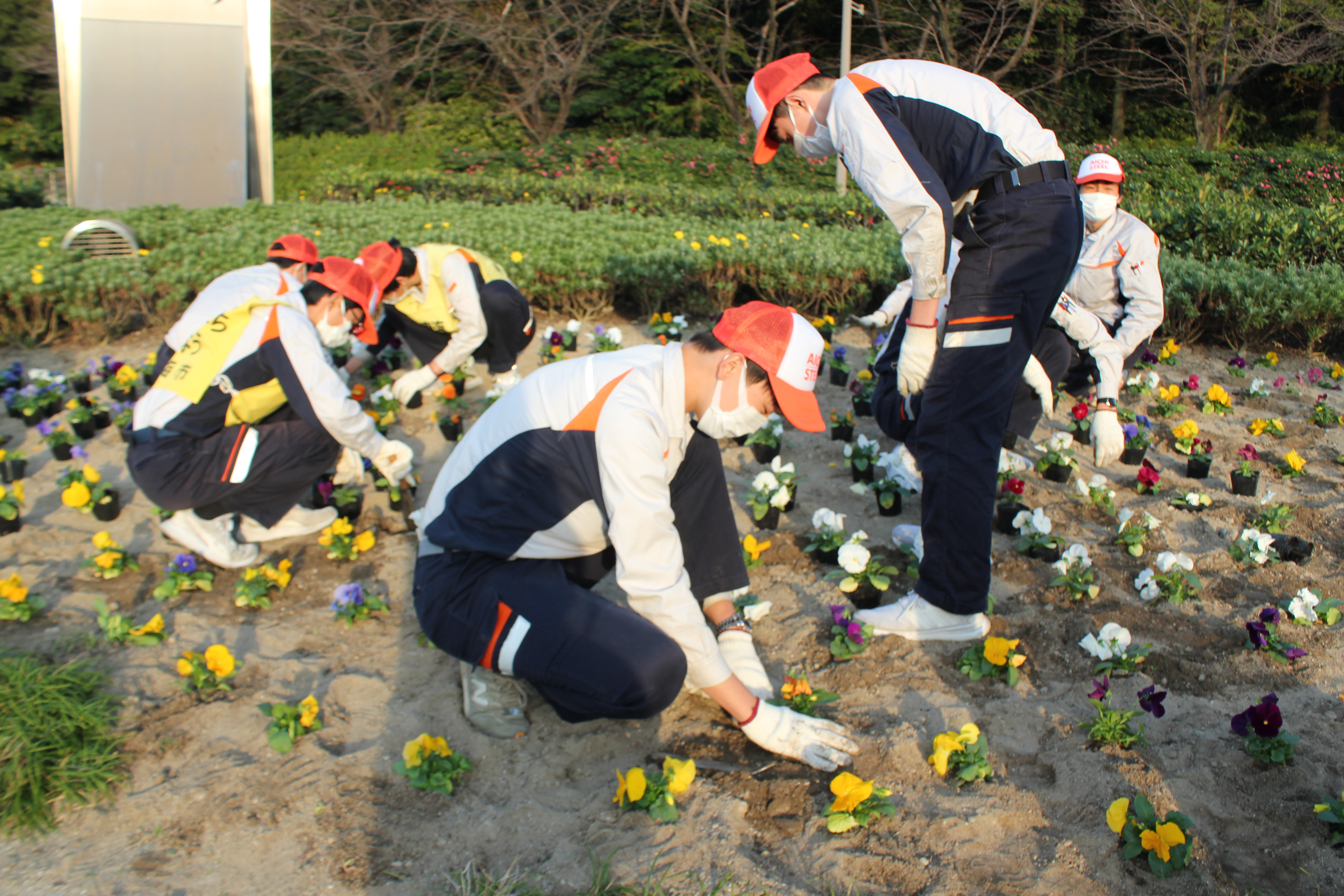 Planting at the rotary in front of Shurakuen Station by school students