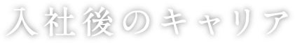 入社後のキャリア
