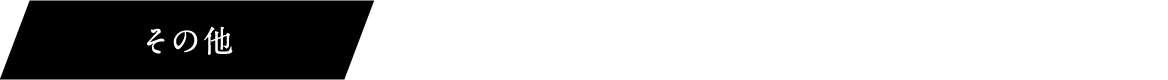 その他 交通費：支給