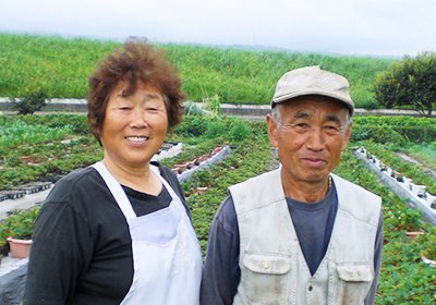 柿島 様（イチゴ）