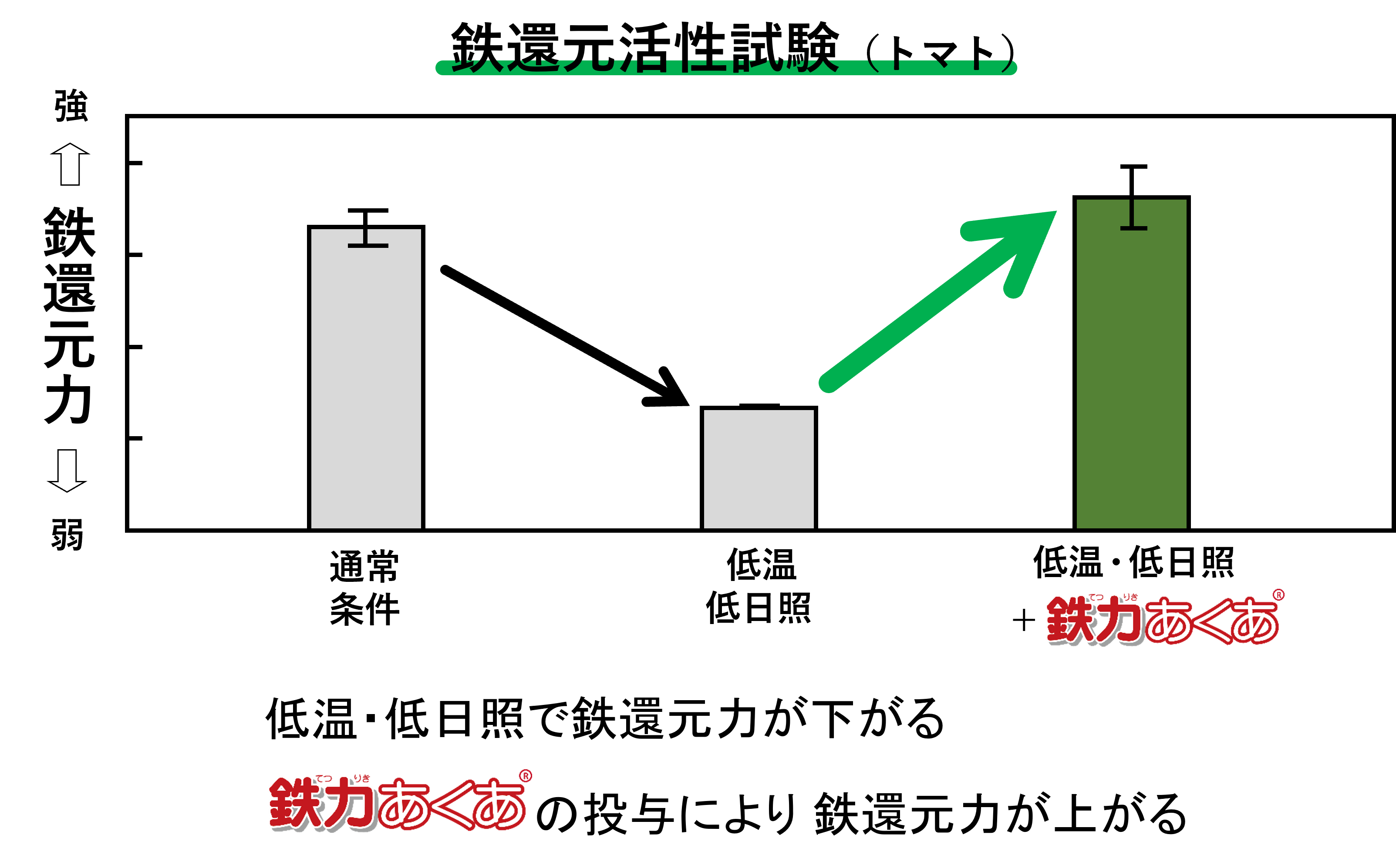 コラム１挿入図１鉄還元活性試験.png