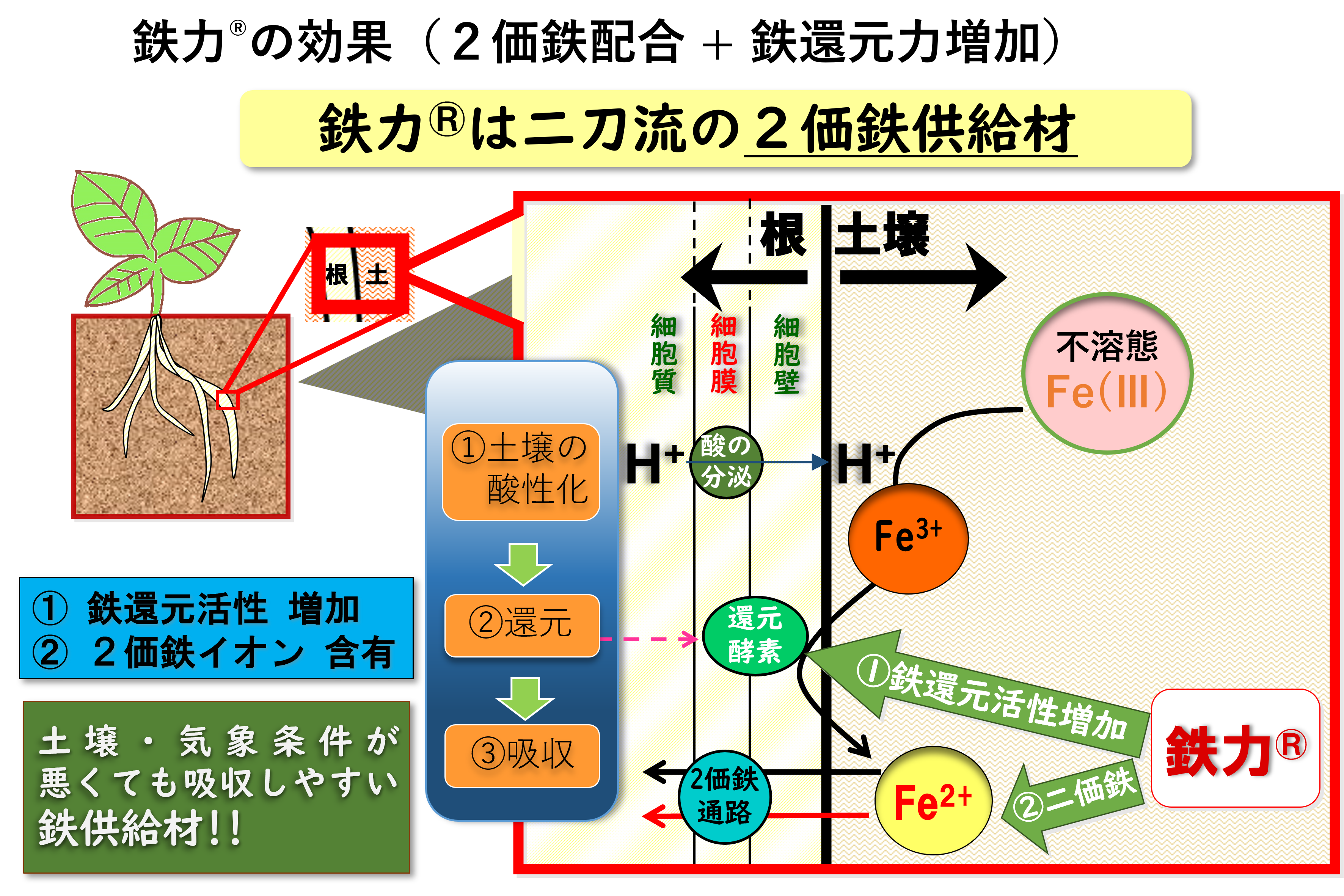 コラム１挿入図２鉄力の効果.png